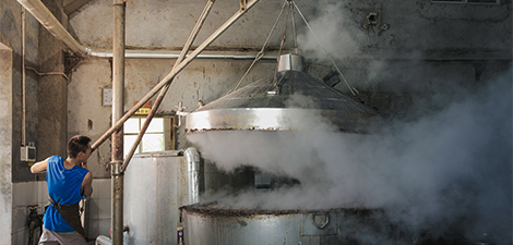 酒曲对发酵产酒起到什么作用？